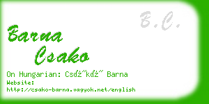 barna csako business card